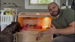 Building a Chicken Brooder | The Arnak Way |