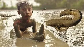 Hand Fishing | smart boy catching catfish in muddy pond at canal