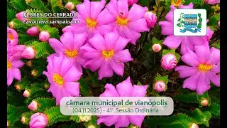 (04.11.25) - QUADRAGÉSIMA PRIMEIRA SESSÃO ORDINÁRIA