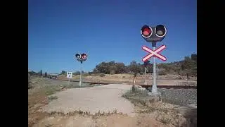 Paso del tren Altaria, por el paso a nivel de La Indiana.