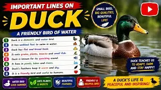 🔴10 Lines on Duck,10 lines on Duck in English,10 lines Essay on Duck,10 lines Essay on Duck, DUCK