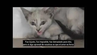 🐾 &ldquo;Galder y Ederra, dos luces en la noche&rdquo;