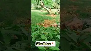 Bihar, Nature Reels Video 📸 😍 || #shorts #yt #reels #video #bihar #nature #kaimur #maamundeswari