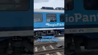 Regiopanter u Pustějova#regiopanter#czech #railway #czechrepublic