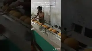 BUNS PAV PACKING MACHINE (ELITE PACKAGING MACHINERY 9987743351 /9769607689)