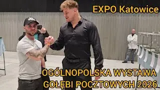 74 OGÓLNOPOLSKA WYSTAWA GOŁĘBI POCZTOWYCH✅️ Frekwencja dopisała😁 Gołębie Pocztowe 2026