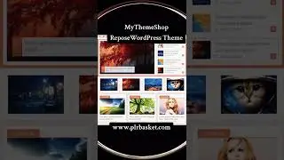 MyThemeShop Repose WordPress Theme