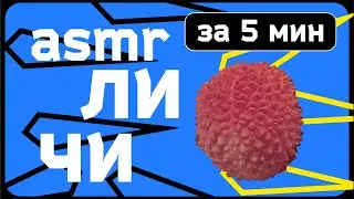 Внутри Дэвида Личи | asmr | Inside David Leachy