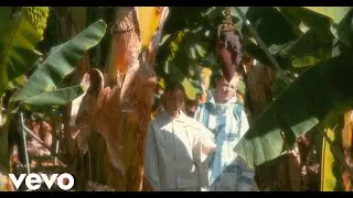 Amilli, Shelter Boy - Raincoats