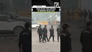 Delhi Red Fort Blast: NSG arrives at blast site, security heightened, investigation intensifies