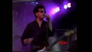 Comite Cisne - La retirada