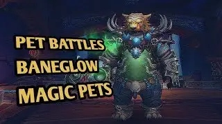 How to beat Baneglow with Magical pets - world of warcraft
