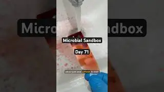 Sandbox Day 71: Lets stain my mucus🤧 #science #microscope #viralshort #biology