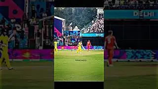 David Warner Pushpa Celebration #cricket #youtubeshorts #ytshorts #davidwarner