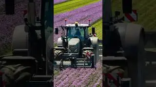 Hier noch einmal ein kurzer Clip vom Schnittlauch Mulchen. Im Einsatz ein Fendt 724 Vario🌸✌🏻#farm