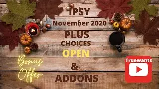 IPSY November 2020 PLUS Choice Now OPEN & ALL ADDONS & A Bonus Offer! Let''s See it ALL Together!