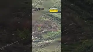 The Entire Ukrainian Frontline is Covered With Fiber Optics From FPV Drones #warinukraine #drone