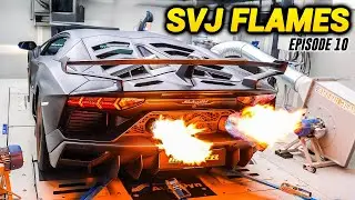 We Tuned a Lamborghini SVJ on the Dyno in Italy! Met up with Schaefchen in Austria!