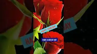 Happy Thursday। Happy Thursday Status।Thursday wishes । Whatsapp Daily Status Video। Na Bola Kotha।