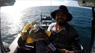 Peel Island April 2019