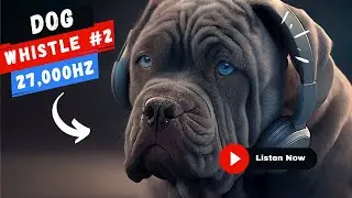 Dog Whistle #2 (27,000 hertz) - Sounds Only Dog Can Hear