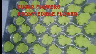 Sugar flowers |peony flower |edible flower