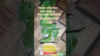 Neem solutions deworming. #petbirds #short #youtubeshorts #birds #viralyoutubevideo