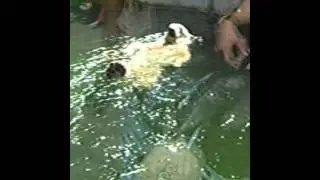 Tierpark Hellabrunn M&uuml;nchen Juli 2004