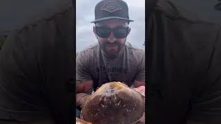 That&rsquo;s not crab meat 🤦🏻&zwj;♀️ #crabboil #crabbing #crabcleaning