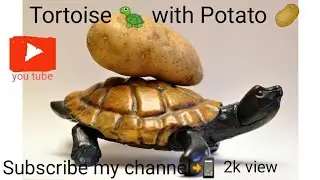 How to carving tortoise in potato vegetable in easy ways n home  #ontrending #ontrendingvideo