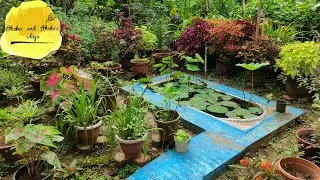 Bathtub into amazing lotus pond| convert |Aksha and Akshiv vlogs