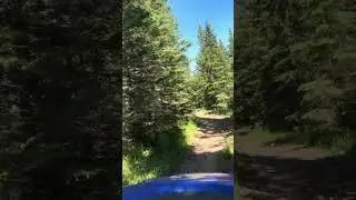 Black Hills trail riding. This was an unmarked trail.