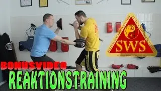 Reaktionstraining f&uuml;r die Selbstverteidigung  | KAMPFKUNST LIFESTYLE