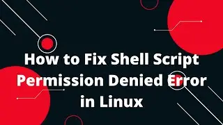 Easy Fix for Shell Script Permission Denied Error in Linux 3 | Bash Scripting Tutorial