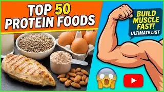 Top 50 Protein Foods Ranked From Lowest to Highest!
