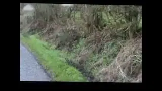 Drummore Kart Race 2013 (the full version)