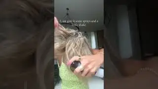 affordable & best texture spray for volume on my short hair