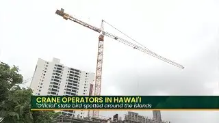 Crane Operator Training & Certification Course