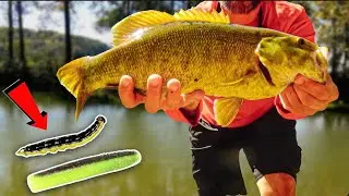 Monster Creek Smallmouth Caught! Match The Hatch!