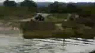access motors 300