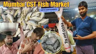 Crawford Fish Market | Mumbai CST Wholesale Fish Market Tour | 28th September 2025