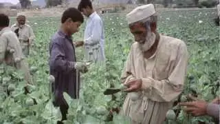 The southern drug route - Arte webdocumentaire Afghanistan 10 ans, 100 regards