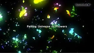 Falling Universe of Flowers