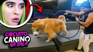 CIRCUITO CANINO NA SALA DA MANSÃO! DESAFIO ABSURDO!