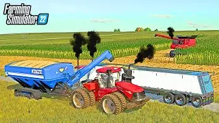 IS HIGH MOISTURE CORN REALLY WORTH THAT MUCH!? | Farming Simulator 22
