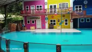 PERTUNJUKAN SINGA LAUT | TAMAN SAFARI BOGOR INDONESIA 