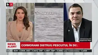 B. BULETE, RBDD, DESPRE PETIȚIE PENTRU CONTROLUL POPULAȚIEI DE CORMORANI_Știri B1TV_23 ian. 2026