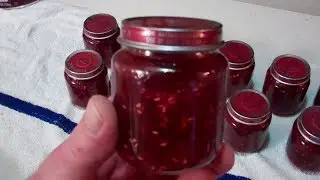 Raspberry Rhubarb Jam! Canned in Baby Food Jars! Want To Know How? WATCH THIS!