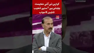 Does PTI want reconciliation?  Shoaib Shaheen's answer