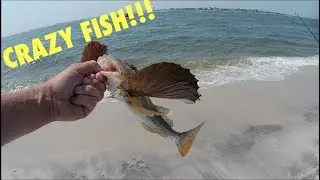 The Struggle of Mid Summer Fishing - Saltwater Fishing Long Island NY